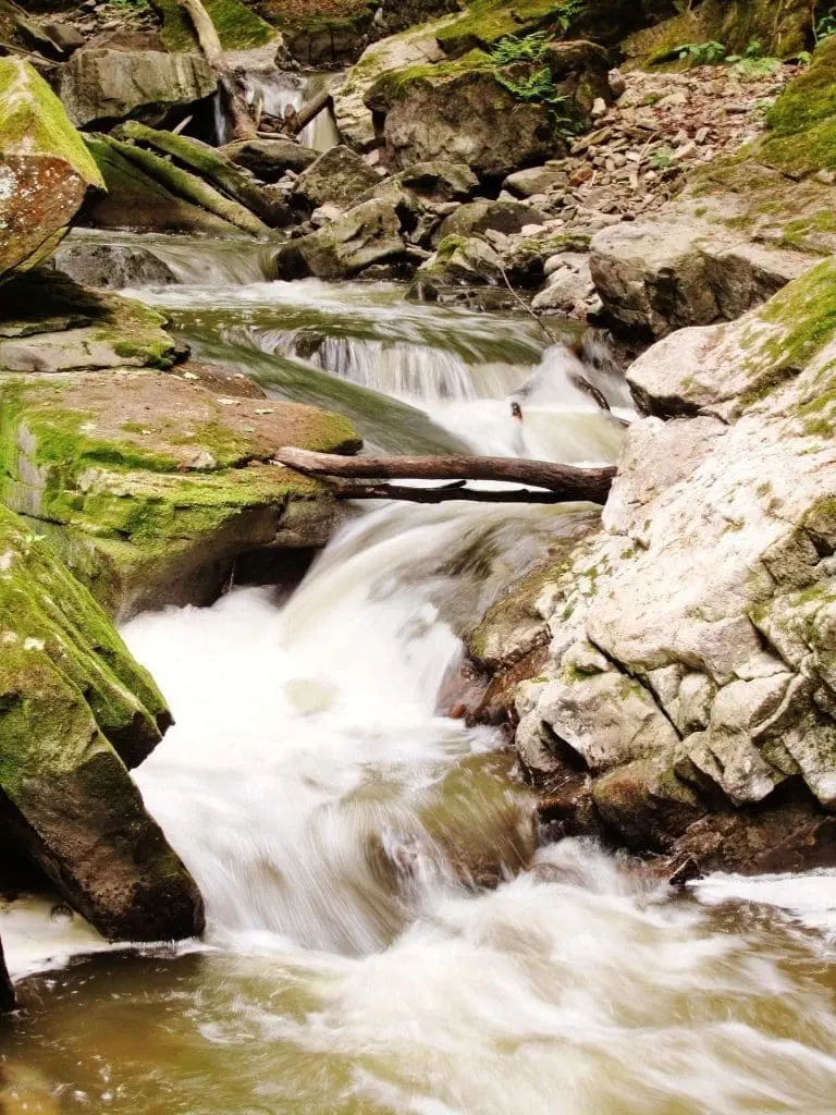 16 Best Amazing Waterfalls In Hamilton! waterfalls in hamilton