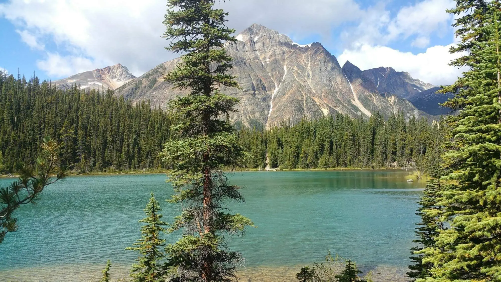 Jasper Lakes : Top 12 Spectacular Lakes to Explore Jasper Lakes
