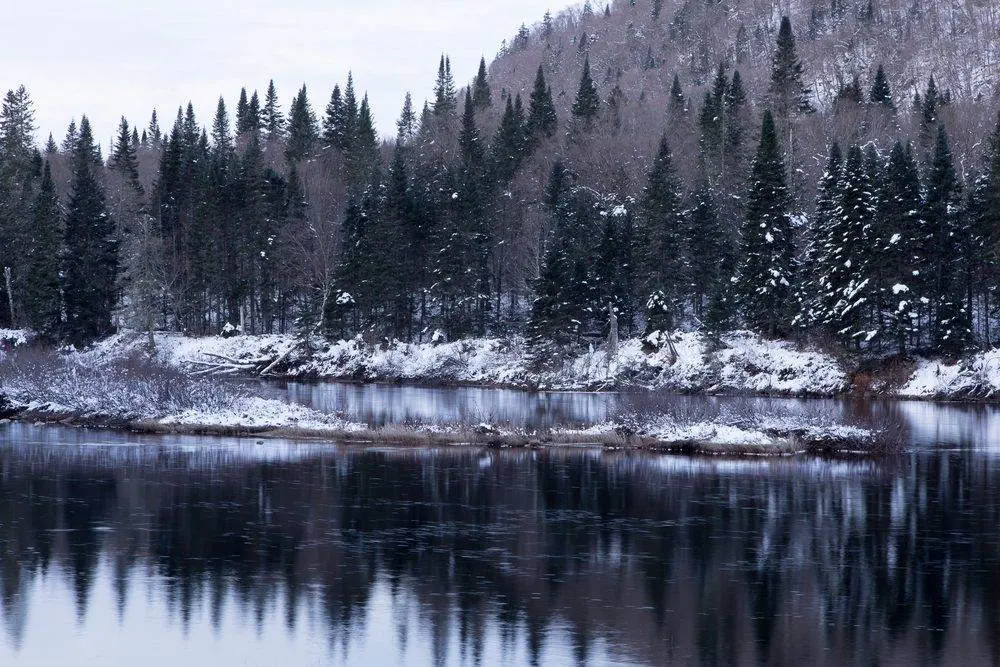 What Are 8 Activities to Try at Jacques Cartier National Park? Jacques-Cartier National Park river