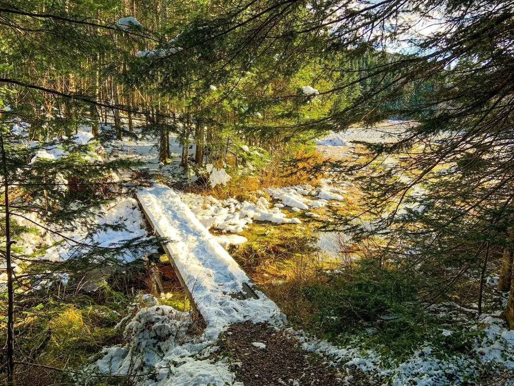 What Are 8 Activities to Try at Jacques Cartier National Park? Jacques-Cartier National Park