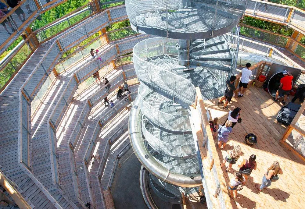 Malahat Skywalk: 12 Fun Things You Can Try Out Malahat skywalk