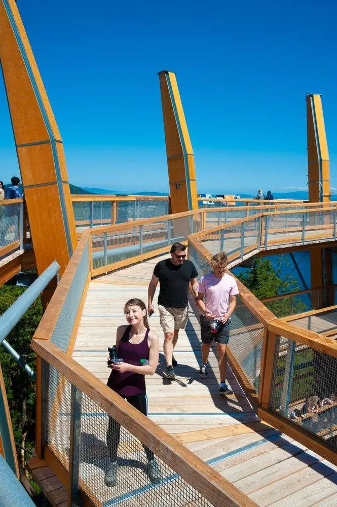 Malahat Skywalk: 12 Fun Things You Can Try Out Malahat skywalk