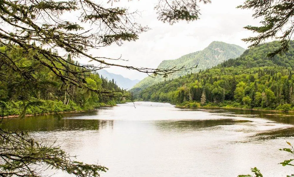 What Are 8 Activities to Try at Jacques Cartier National Park? Jacques-Cartier National Park