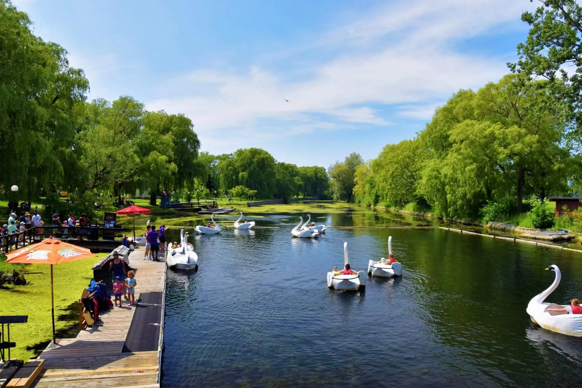 Discover The Centreville Amusement Park With 11 Amazing Rides Swan ride