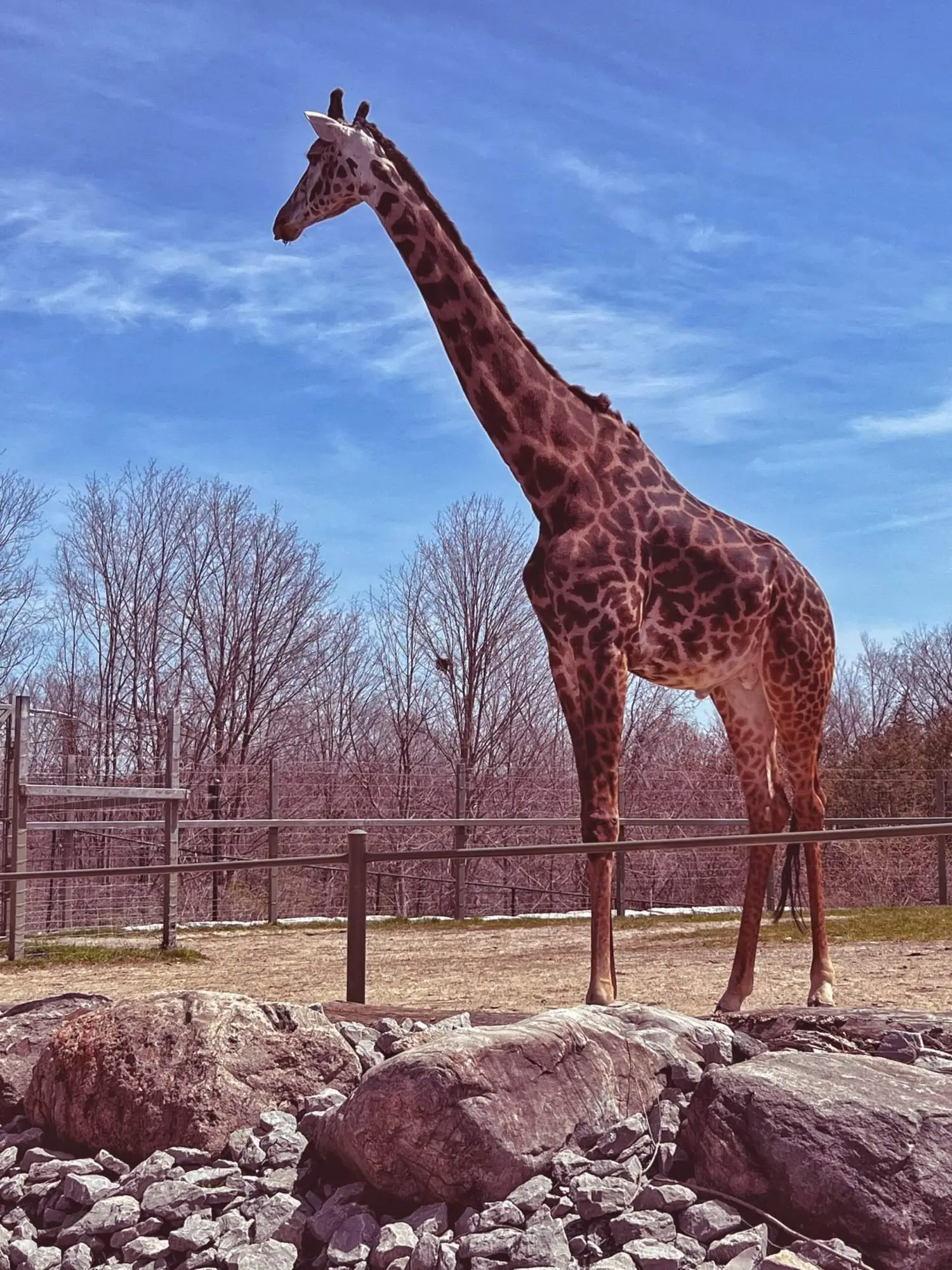 10 Most Amazing Toronto Tourist Attractions toronto tourist attractions