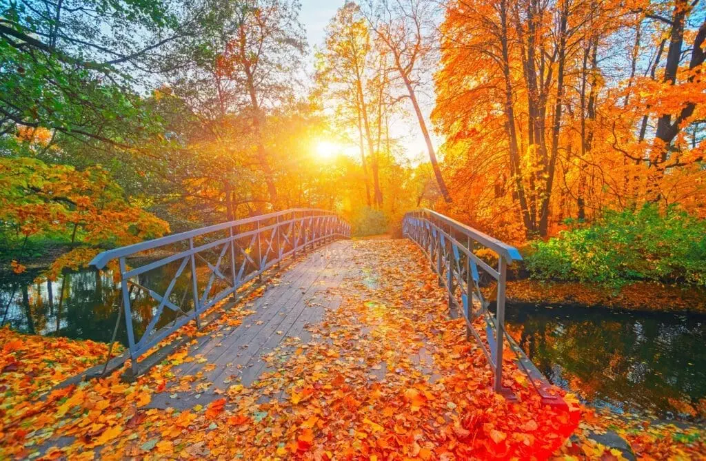 East Coast Canada-10 Most Amazing Things To Do canada