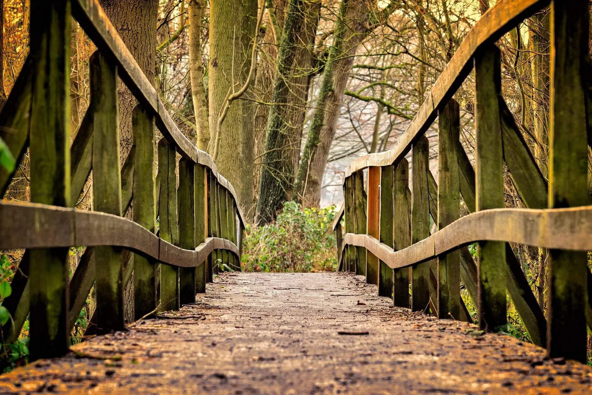 Mono Cliffs: Top 5 Mesmerizing Trails and A Hiking Guide trails