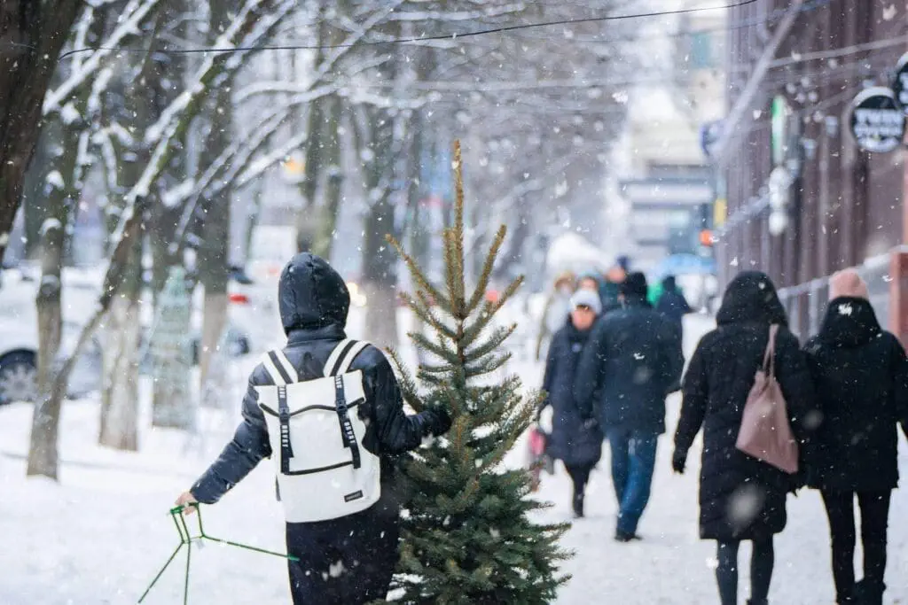 7 Amazing Things to Do at Polar Winter Festival? polar winter festival