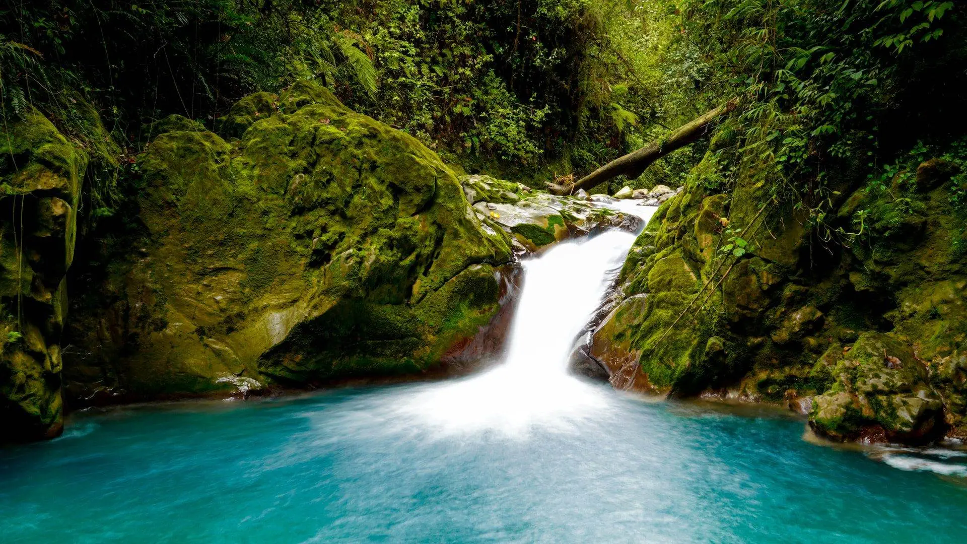 What to do in Costa Rica - 4 Exciting Things What to do in Costa Rica