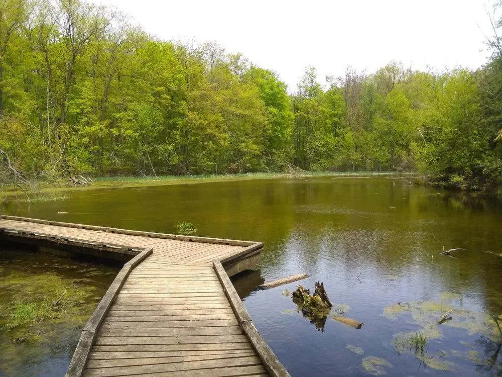 12 Best Parks in Halton Parks in Halton- Silver Creek Conservation Area
