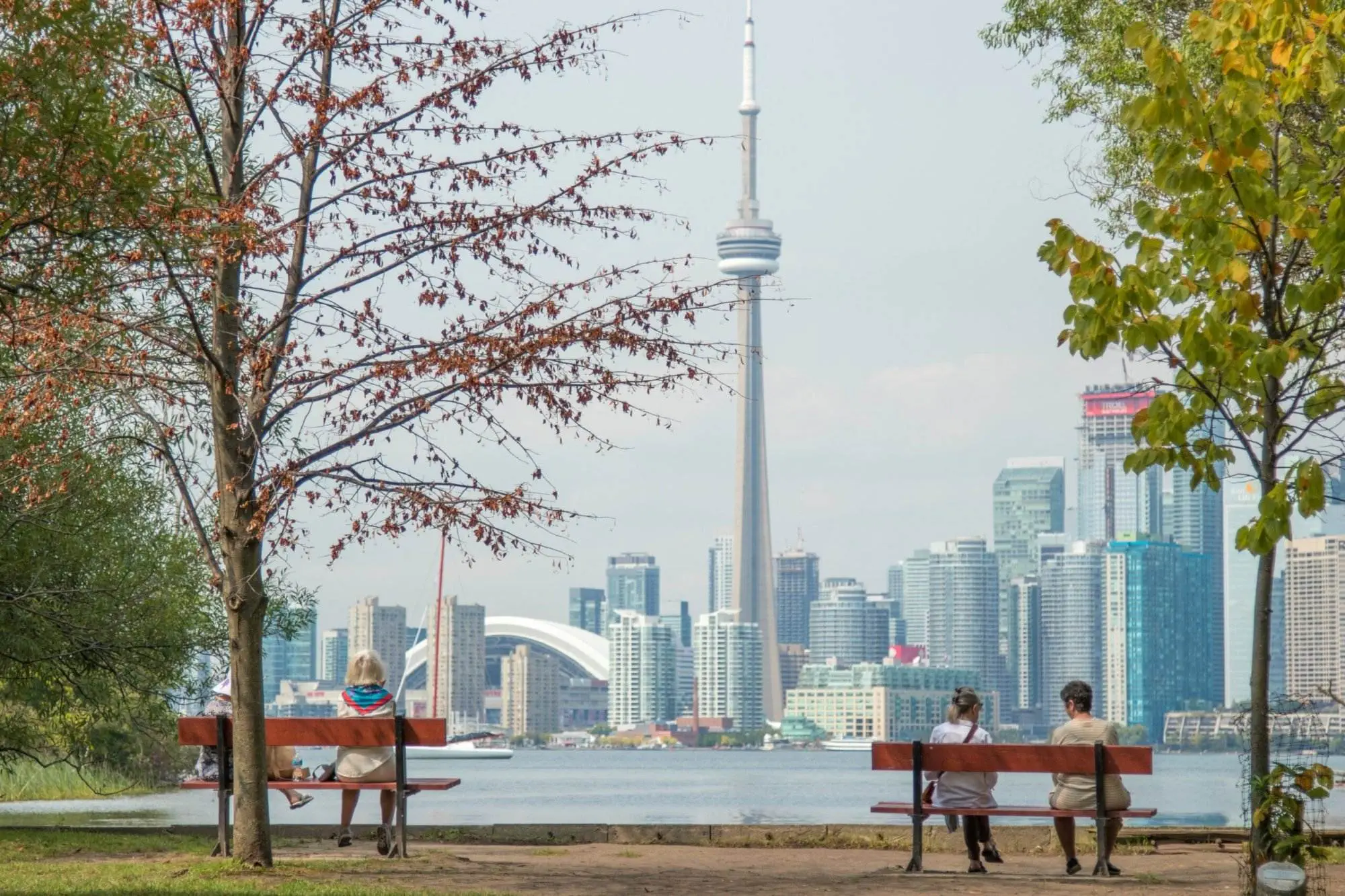 What Is Canada Known For: The 10 Compelling Facts A view from Toronto Island. A sea view with benches placed on the side of the sea while people sit and enjoy the view. High rises buildings are visible across the sea.