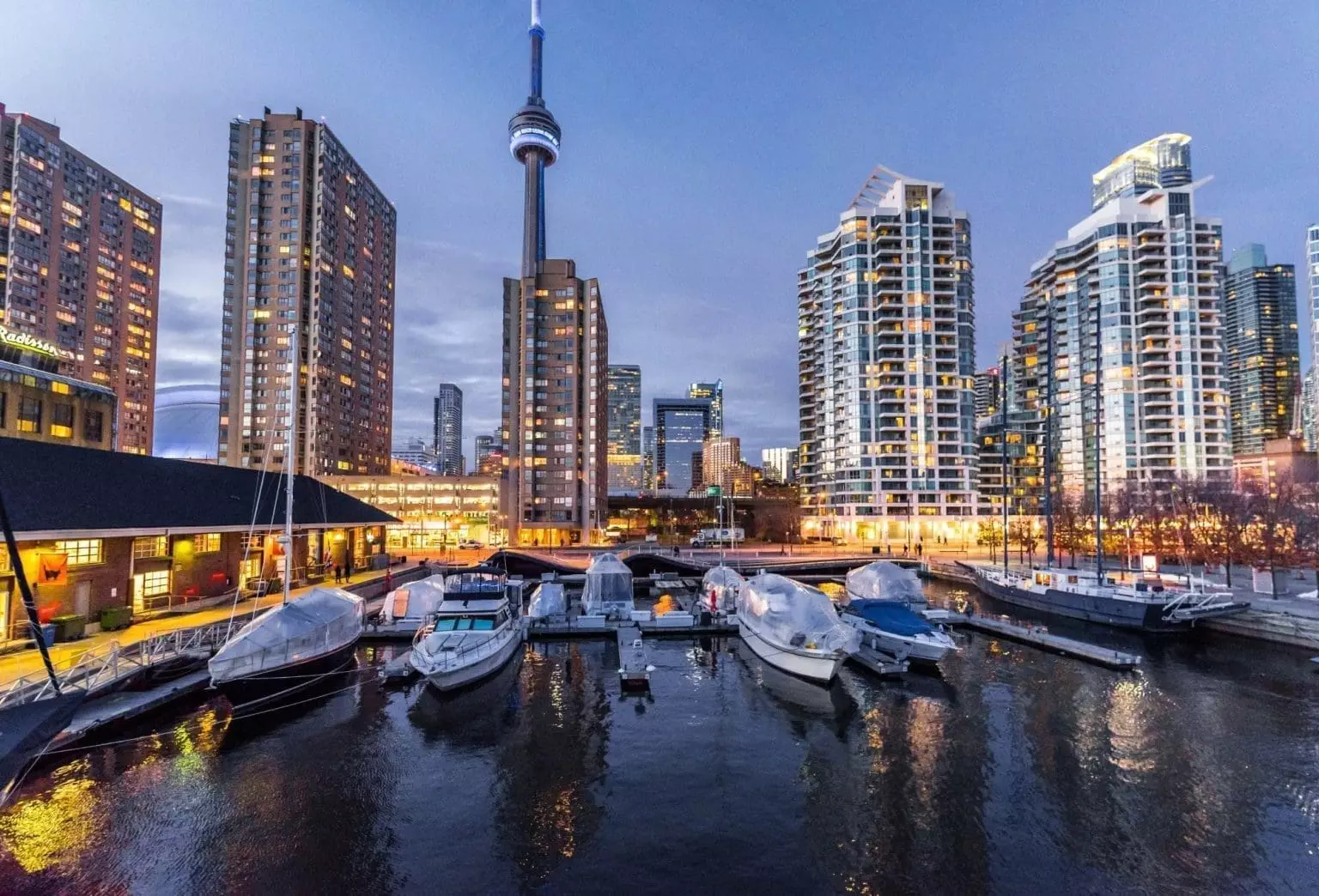 A view of cruises beside the dock with high-rise buildings in the background during the evening time in Toronto.