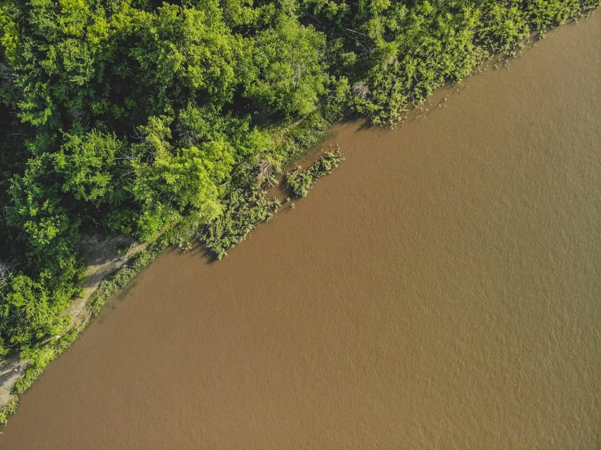 5 Most Popular Rivers in Winnipeg That Are Worth Visiting The Aerial view of Red River and a green bushy land