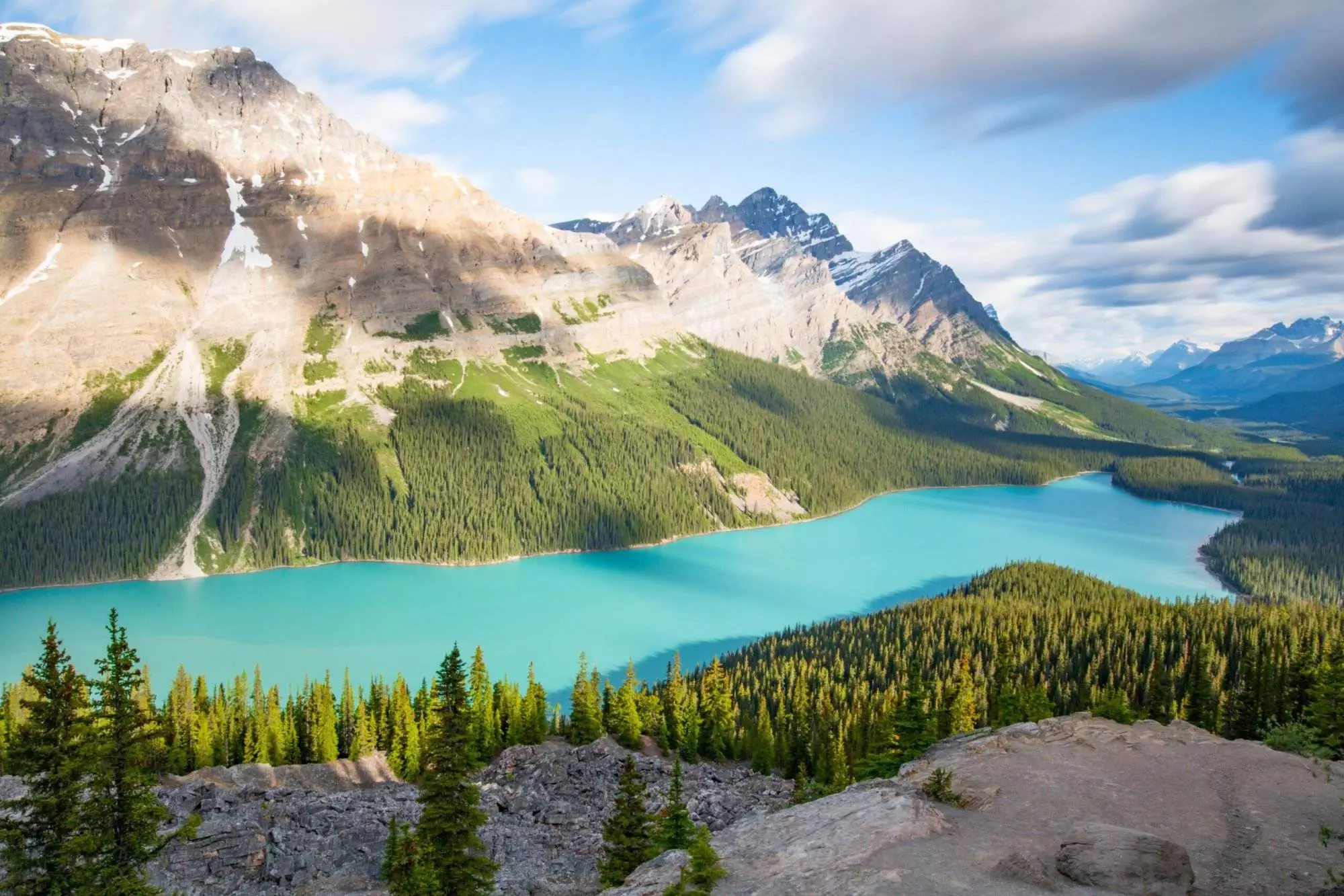 A scenic view of the Peyto lake and mountains in the background.