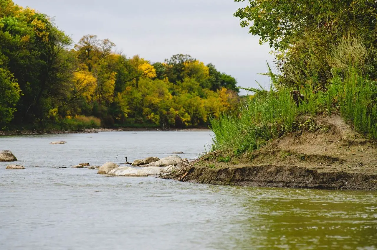 5 Most Popular Rivers in Winnipeg That Are Worth Visiting Assiniboine River and land beside it with grasses and trees.