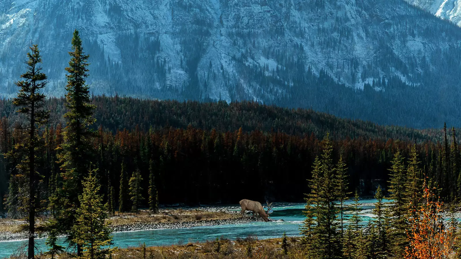 Athabasca river photo by G. Lamar on Flickr