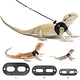 Bearded Dragon - 8 Fascinating Facts And Ways To Care!! 7