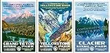 Glacier National Park Camping - 5 Best Options! 5