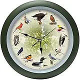14 Beautiful Canadian Birds To Watch! 15