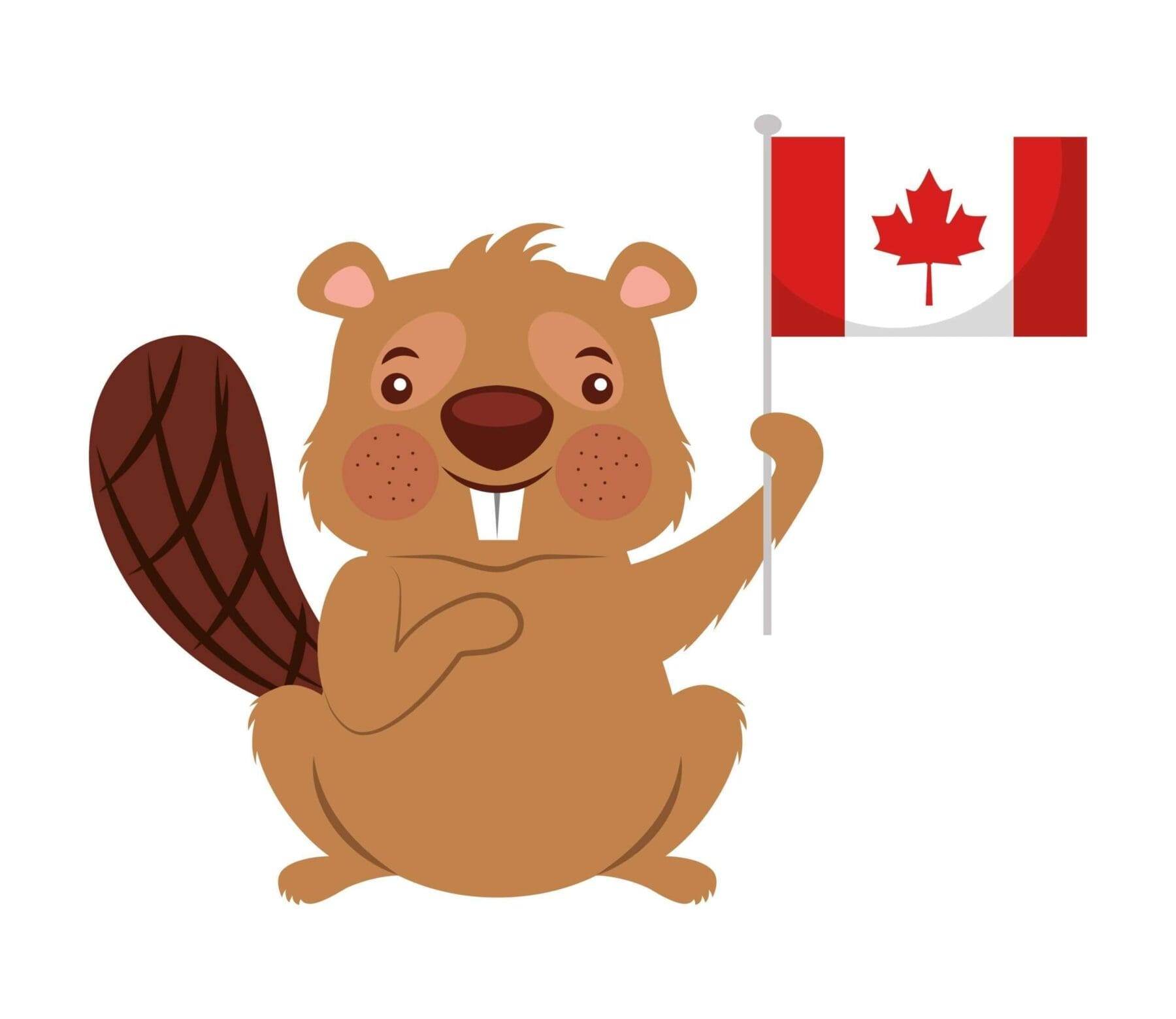 Best 101 Guide On The National Animal Of Canada - Icy Canada