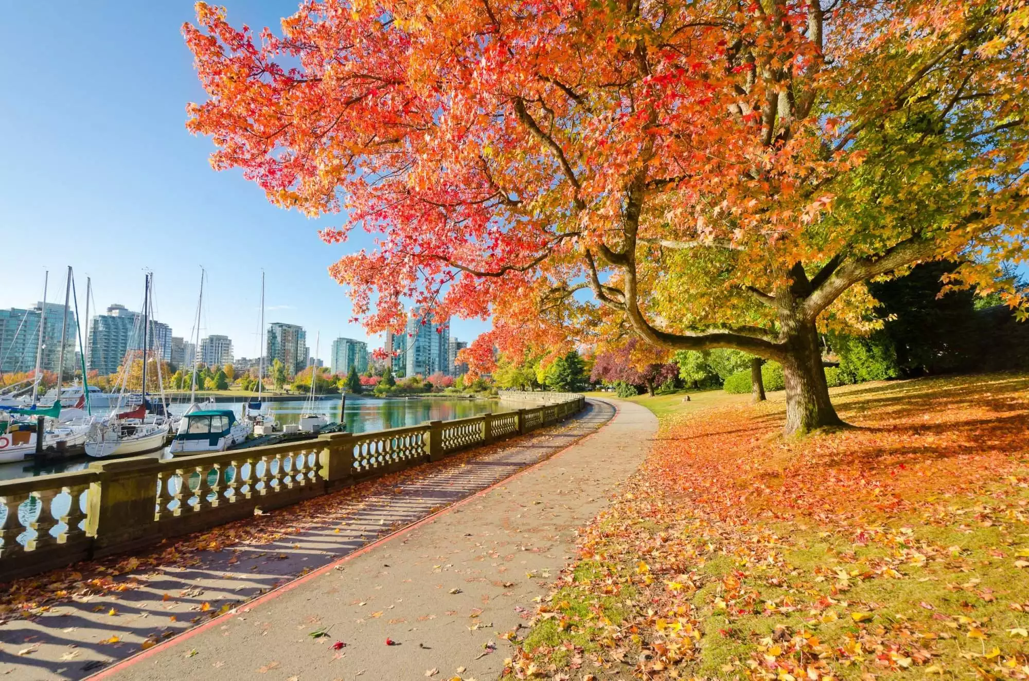 best places around Vancouver