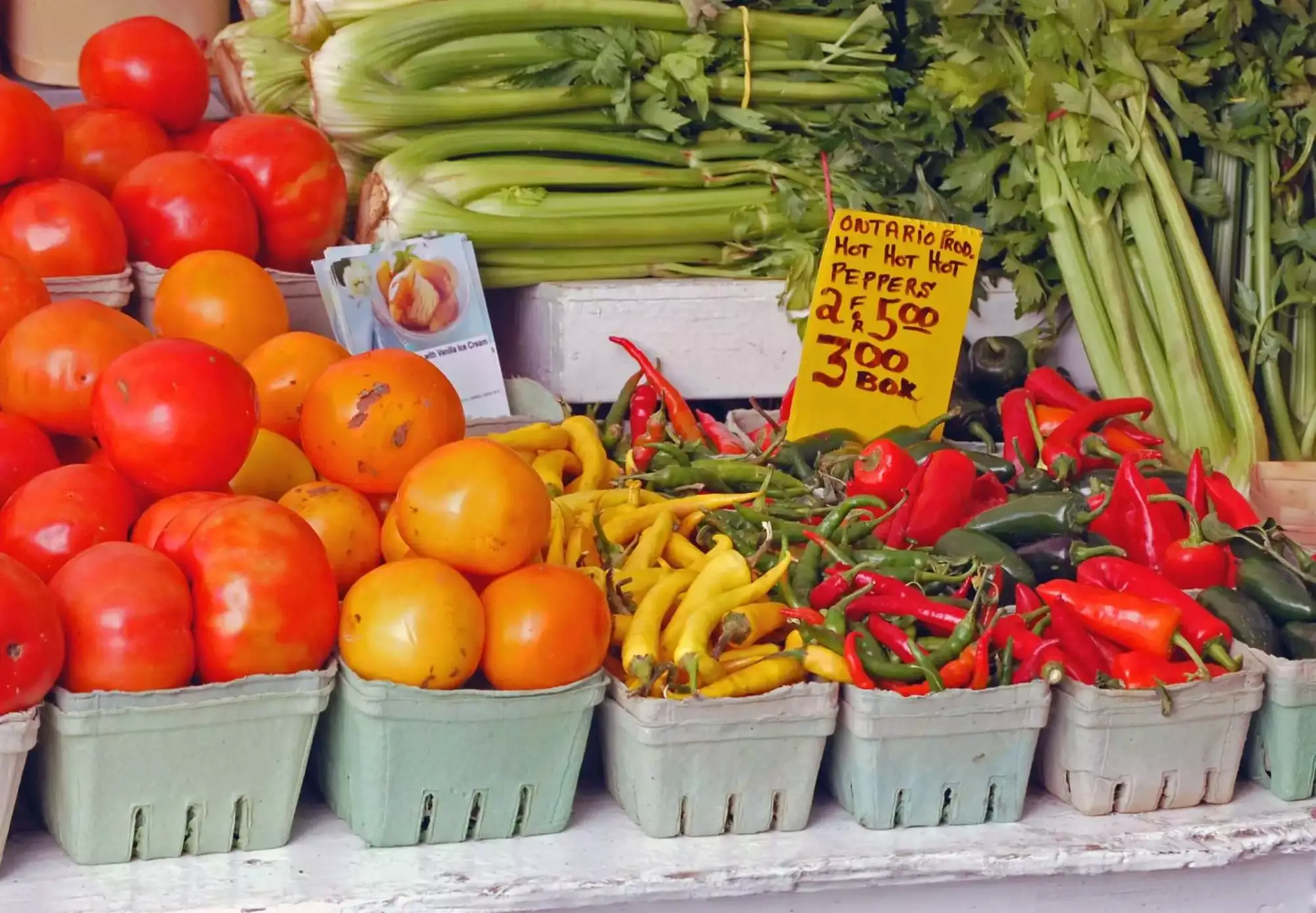 London Ontario Events - Here Are 15 Entertaining Options! 9 Places to visit in Ottawa
