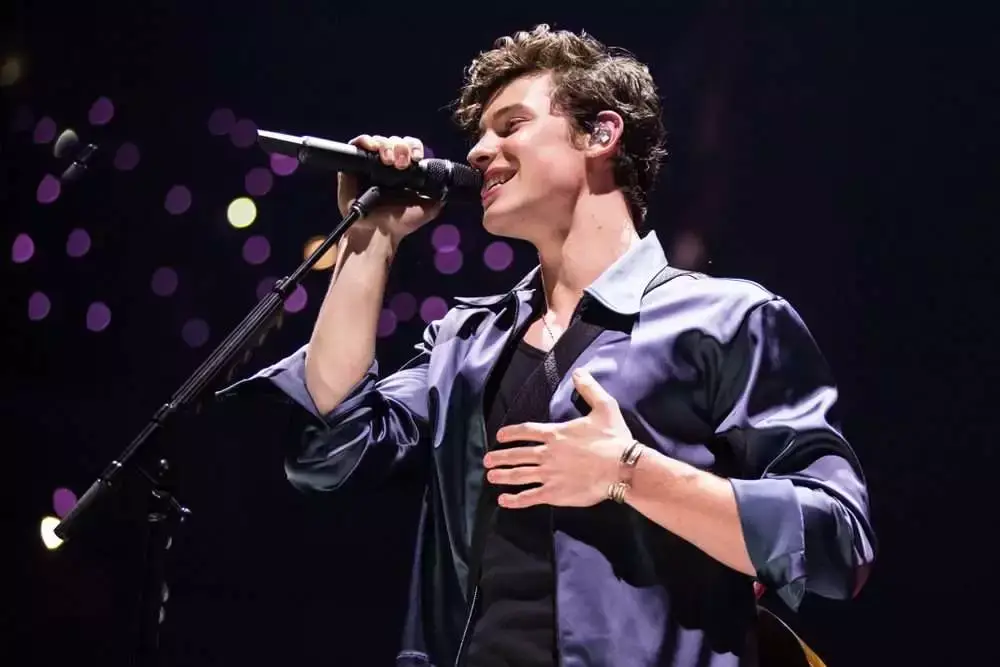 20 Most Popular Canadian Artist Of All Time 7 Canadian Artist