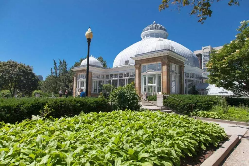 Allan Gardens - 6 Amazing Attractions to View! 2