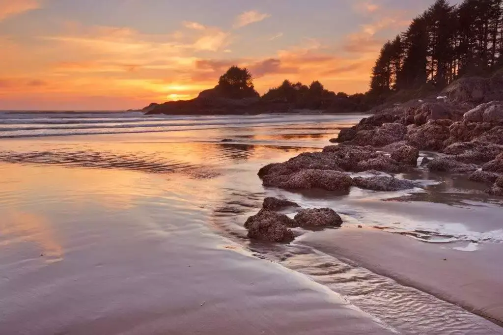 Tofino Surfing - 7 Awesome Things to Know! 8 Tofino Surfing - 7 Awesome Things to Know! 2