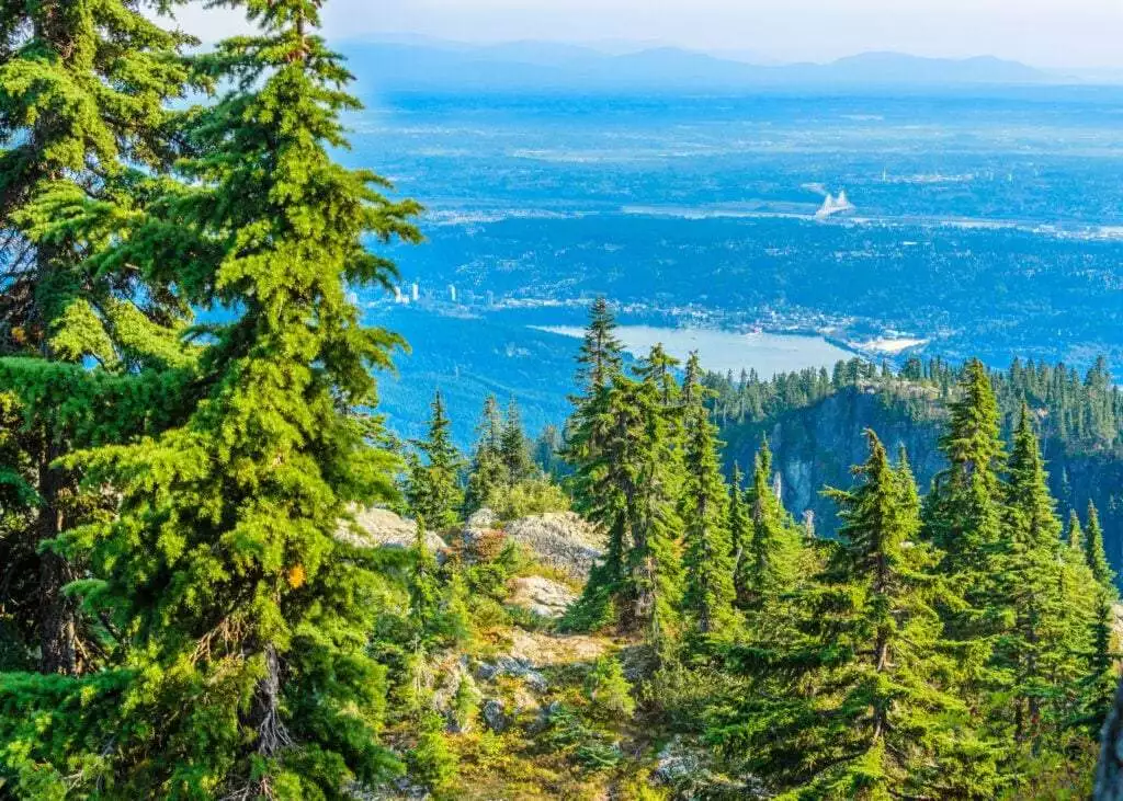Vancouver Hikes - 10 Best Options For You! 4