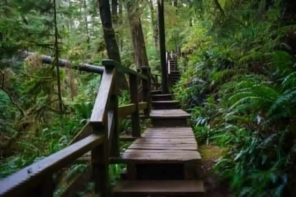 Tofino Camping Grounds - 12 Spectacular Facts! 2