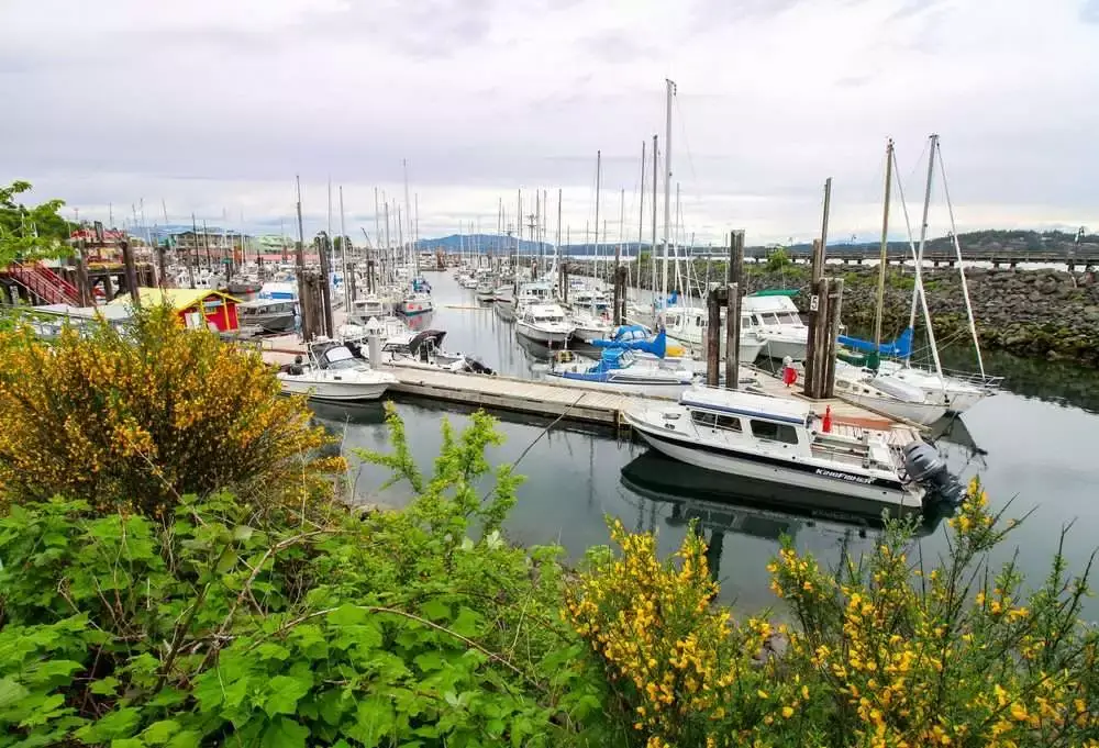 15 Best Things to do in Honolulu On Your Trip 9 Campbell River