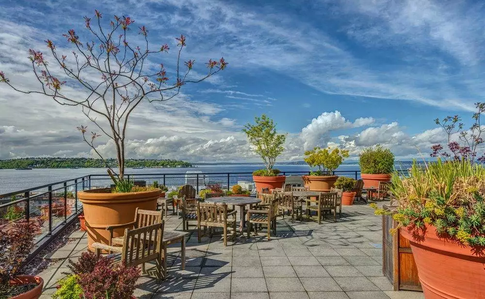 7 Best Gorgeous Rooftop Patios Toronto: Visit Now! 4