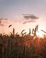 farming in canada