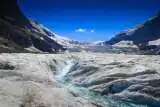 icefields tour