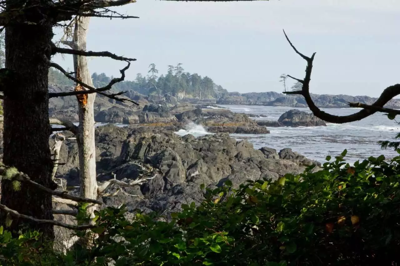 What to See on Vancouver Island? 14 Best Places 13