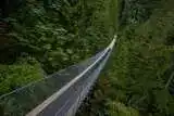 capilano suspension bridge in north vancouver