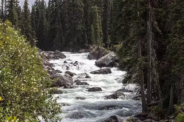 Maligne Lake : 6 Heavenly Hiking Trails 14 Maligne Lake : 6 Heavenly Hiking Trails 2