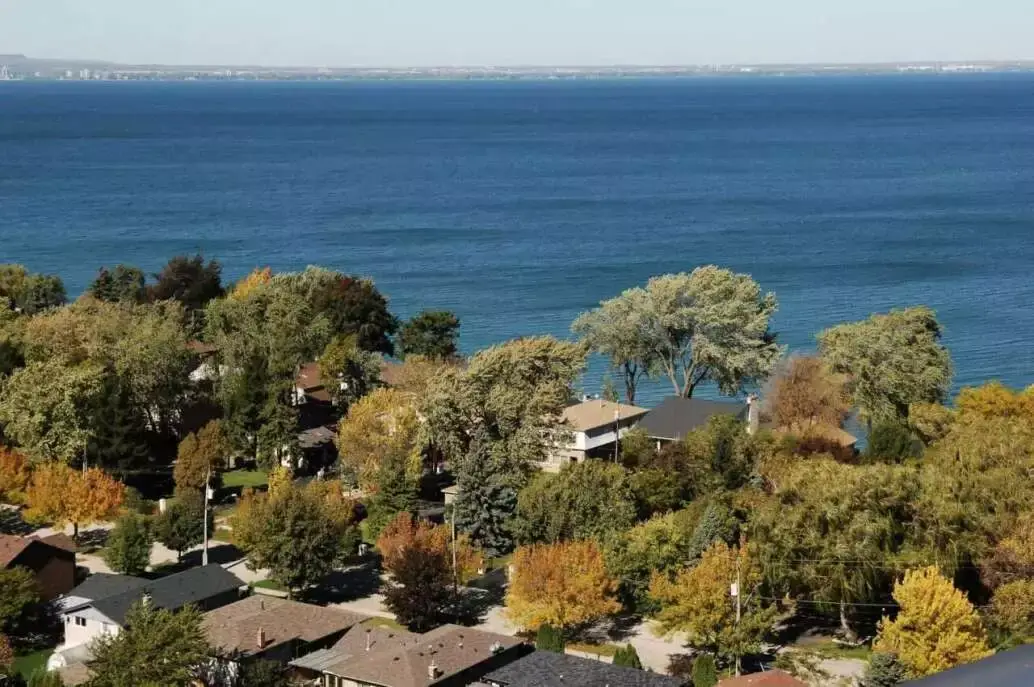 10 Best Restaurants In Oakville 7 Oakville City
