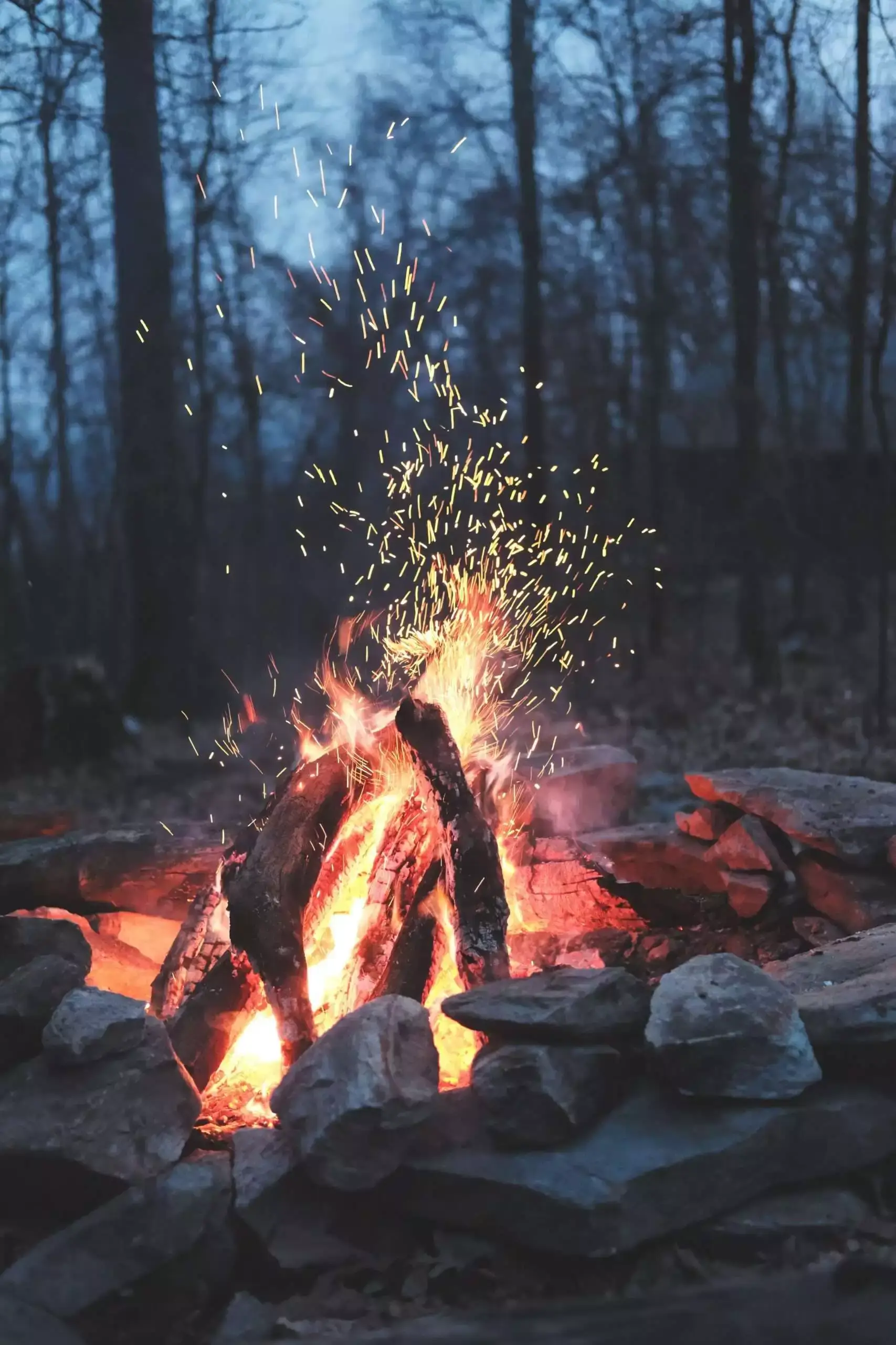 9 Reasons To Visit Algonquin Park For An Adventure 7 Algonquin Park