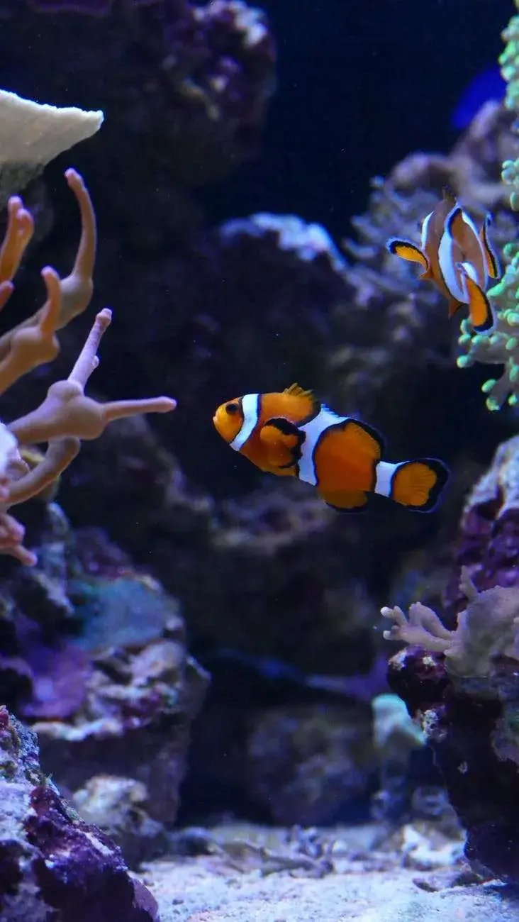 Vancouver Aquarium