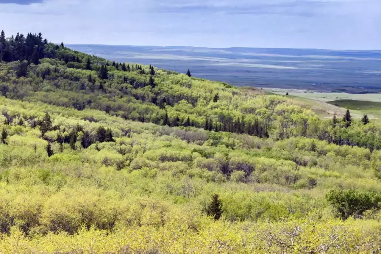 Grasslands National Park