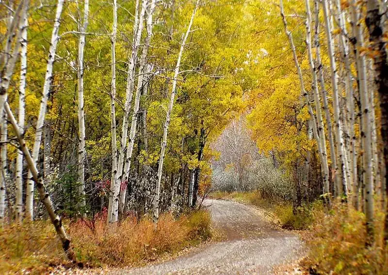 Best of Calgary Parks to Explore in 2022 7 fishcreek provincial park