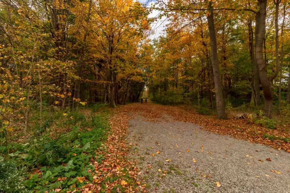9 Amazing Things You Can Do At Rouge National Urban Park 2
