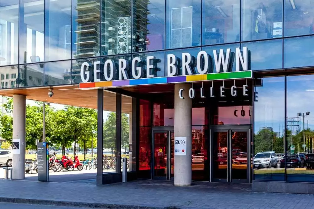The 8 Top Colleges in Toronto Today 1