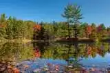 All About Kawartha Lakes: 5 Best Things to Do 13