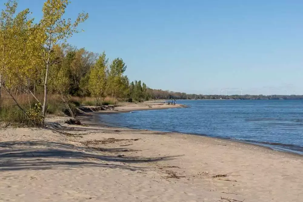 7 Best Things You Can Do at Rondeau Provincial Park 7 Rondeau Provincial Park
