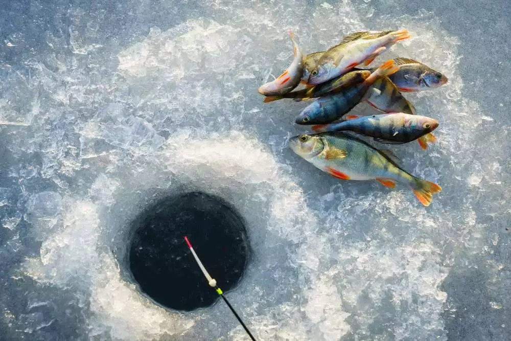 icy fishing