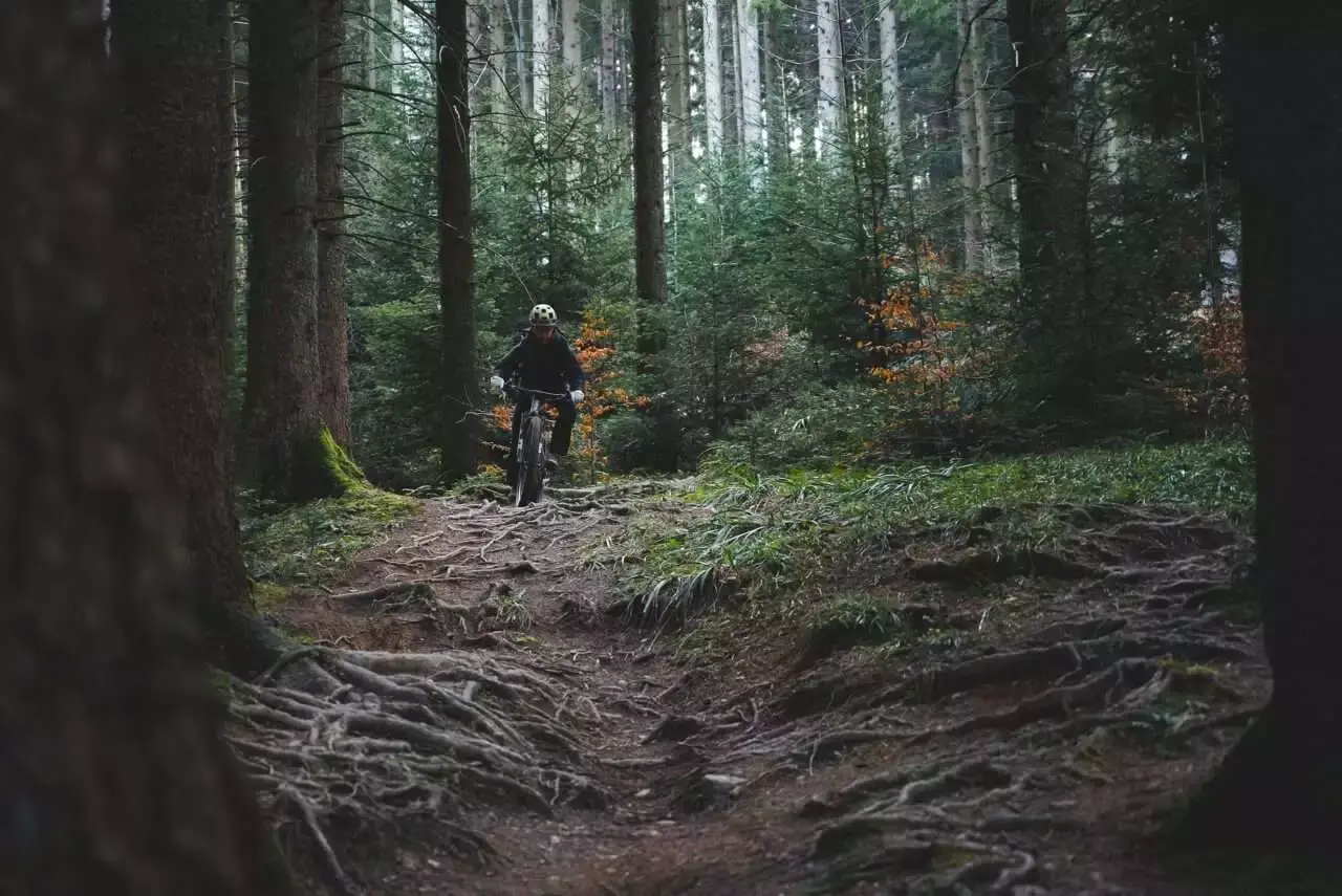 Top 22 Amazing Things To Do In Revelstoke 12 mountain biking
