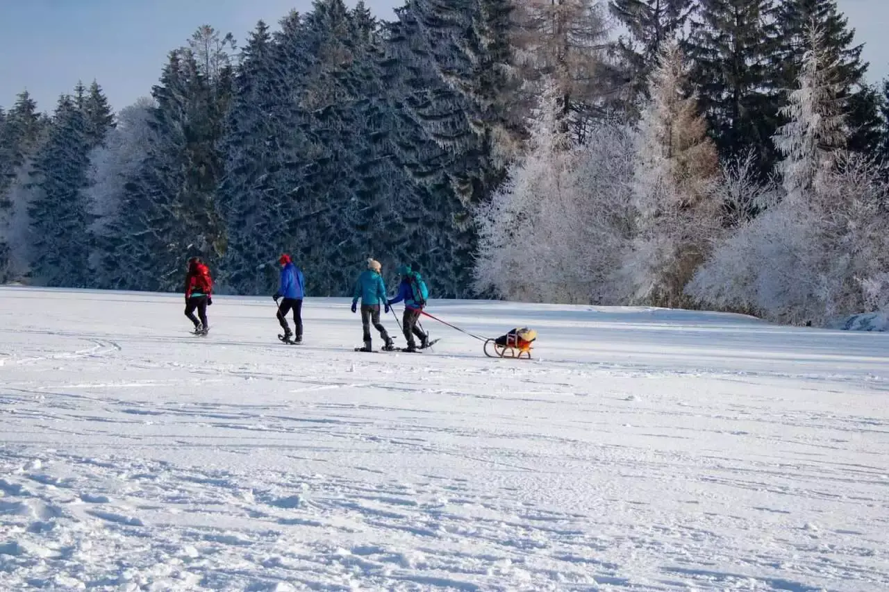 Top 22 Amazing Things To Do In Revelstoke 27 Snowshoeing